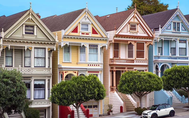 Painted Ladies